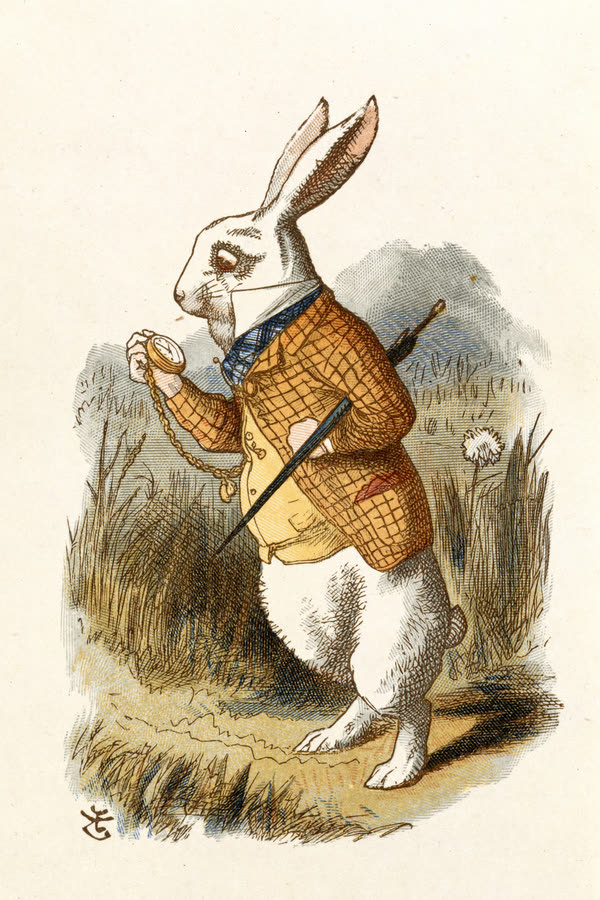 Cover of Alice's Adventures in Wonderland